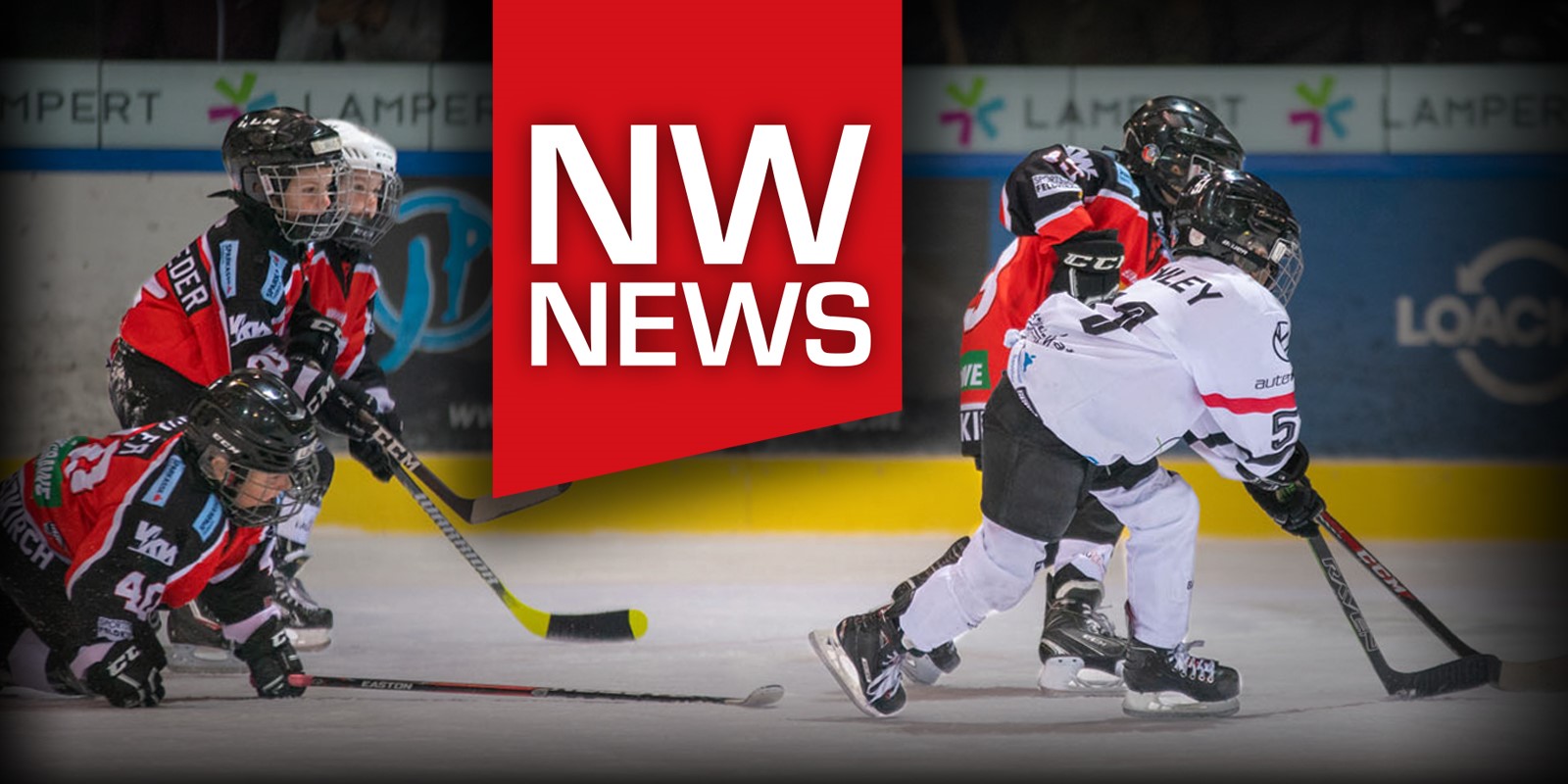 veu-nachwuchs-news