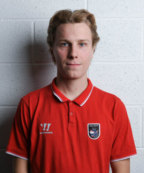 1-Felder